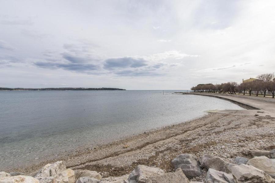 Apartment Zak Novigrad Istria المظهر الخارجي الصورة