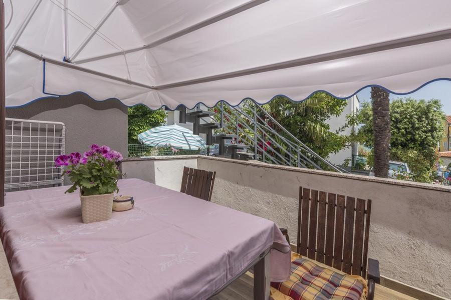 Apartment Zak Novigrad Istria المظهر الخارجي الصورة